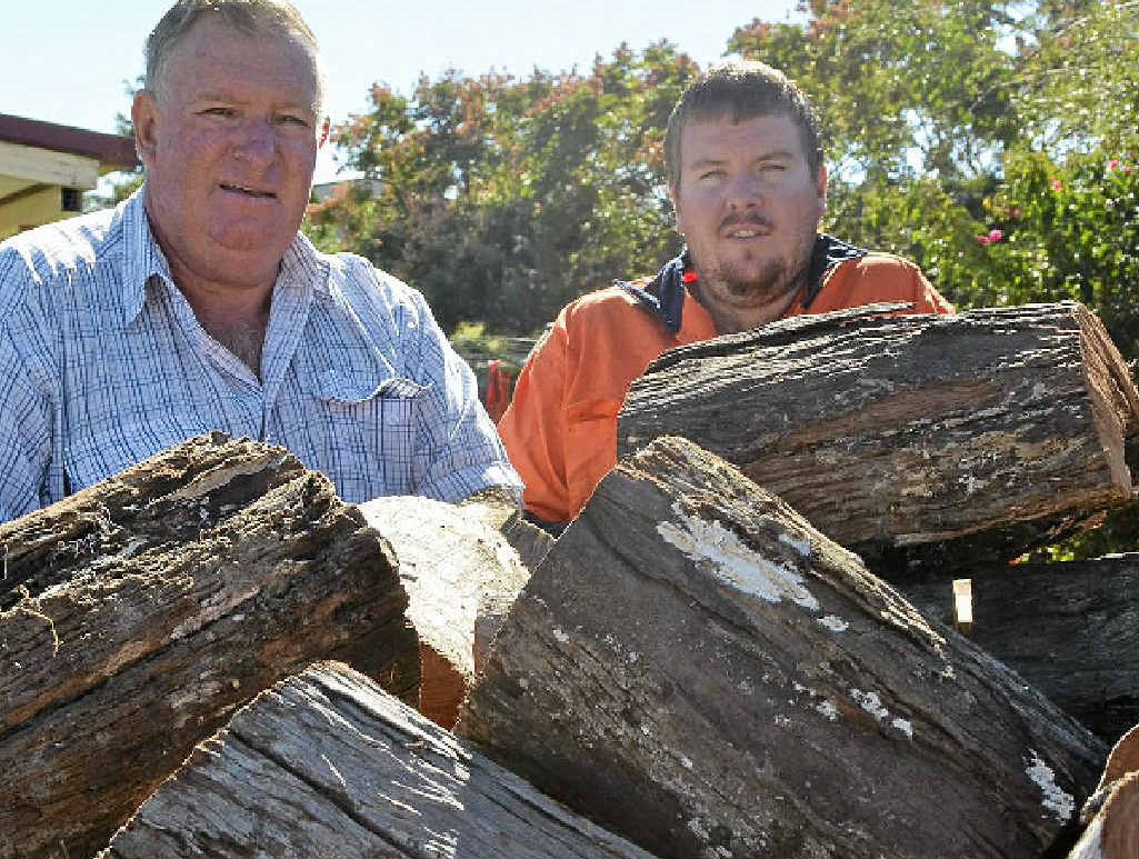 CUT ABOVE THE REST: Bob Locke and his son Mark supply firewood locally as well as southern markets. CUT ABOVE THE REST: Bob Locke and his son Mark supply firewood locally as well as southern markets.